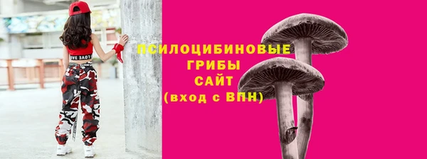 шишки Волоколамск